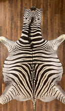 Load image into Gallery viewer, Zebra Skin for Sale