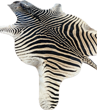Load image into Gallery viewer, Zebra skin rug with black and white stripes on a white background