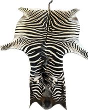 Load image into Gallery viewer, Zebra skin rug with a white background