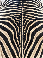 Load image into Gallery viewer, Close-up of a zebra pattern with black and white stripes.