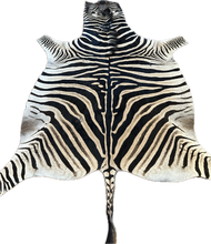 Load image into Gallery viewer, Zebra skin rug with black and white stripes on a white background