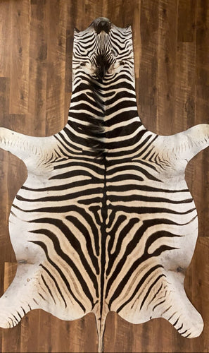 Zebra skin rug on a wooden floor