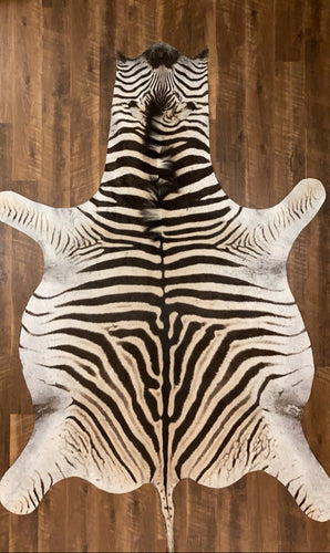 Zebra skin rug on a wooden floor