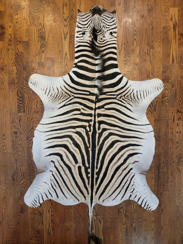Large Zebra hide for Sale