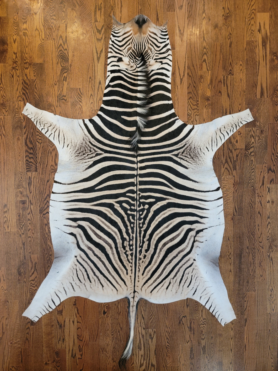 Zebra Skin Rug