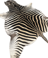 Load image into Gallery viewer, AA Grade Zebra Hide Rug [AA25-152]
