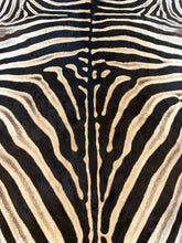 Load image into Gallery viewer, Close-up of a zebra pattern with black and white stripes.

