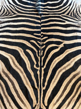 Load image into Gallery viewer, Close-up of a zebra's striped pattern
