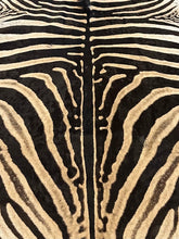 Load image into Gallery viewer, A Grade Zebra Hide Rug [A56]
