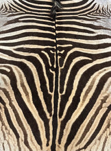 Load image into Gallery viewer, B Grade Zebra Hide Rug [B114]
