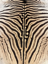 Load image into Gallery viewer, B Grade Zebra Hide Rug [B13]
