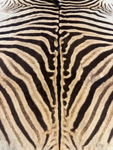 Load image into Gallery viewer, B Grade Zebra Hide Rug [B104]
