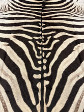 Load image into Gallery viewer, A Grade Zebra Hide Rug [A25-7]
