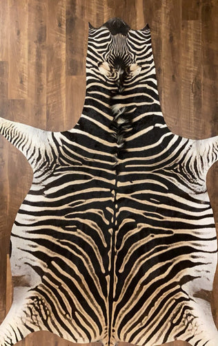 Authentic Zebra Hide for Sale