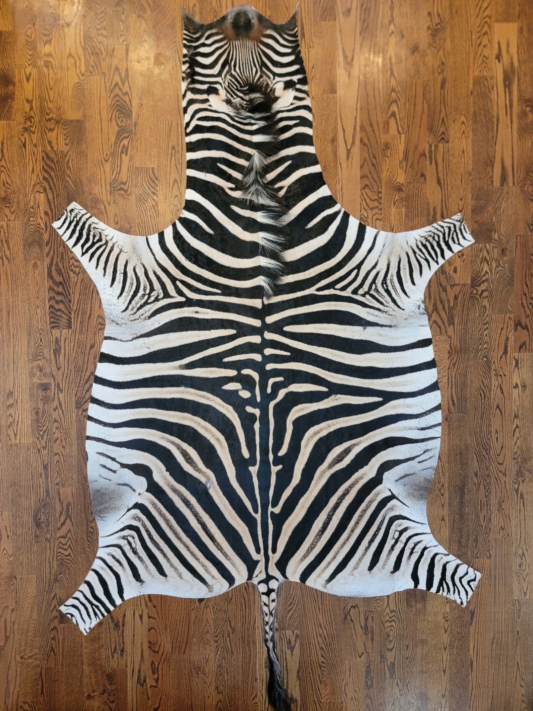 Natural Zebra Skin on Any Floor