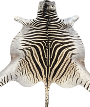Load image into Gallery viewer, B Grade Zebra Hide Rug [B114]
