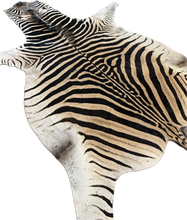 Load image into Gallery viewer, A Grade Zebra Hide Rug [A96]
