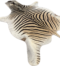 Load image into Gallery viewer, B Grade Zebra Hide Rug [B104]
