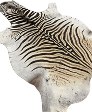 Load image into Gallery viewer, B Grade Zebra Hide Rug [B13]
