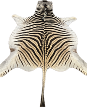 Load image into Gallery viewer, B Grade Zebra Hide Rug [B104]

