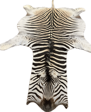 Load image into Gallery viewer, B Grade Zebra Hide Rug [B13]
