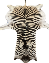 Load image into Gallery viewer, B Grade Zebra Hide Rug [B104]
