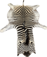 Load image into Gallery viewer, B Grade Zebra Hide Rug [B114]
