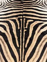 Load image into Gallery viewer, A Grade Zebra Hide Rug [A25-9]
