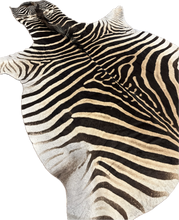 Load image into Gallery viewer, AA Grade Zebra Hide Rug [AA25-1]

