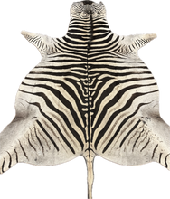 Load image into Gallery viewer, A Grade Zebra Hide Rug [A25-7]
