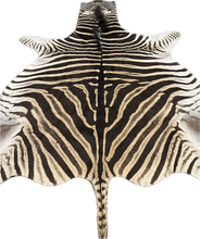 Load image into Gallery viewer, AA Grade Zebra Hide Rug [AA202]
