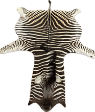 Load image into Gallery viewer, A Grade Zebra Hide Rug [A54]
