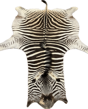 Load image into Gallery viewer, A Grade Zebra Hide Rug [A615]
