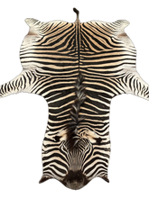 Load image into Gallery viewer, A Grade Zebra Hide Rug [A+3]
