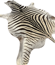Load image into Gallery viewer, B Grade Zebra Hide Rug [B137]
