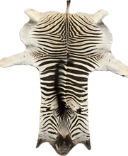 Load image into Gallery viewer, B Grade Zebra Hide Rug [B138]
