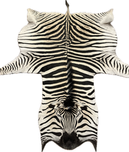 Load image into Gallery viewer, Trophy AA Grade Zebra Hide Rug [T/AA25-4]
