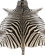 Load image into Gallery viewer, AA Grade Zebra Hide Rug [AA25-10]
