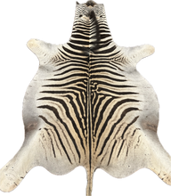 Load image into Gallery viewer, B Grade Zebra Hide Rug [B138]
