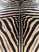 Load image into Gallery viewer, A Grade Zebra Hide Rug [A+3]
