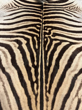 Load image into Gallery viewer, B Grade Zebra Hide Rug [B138]
