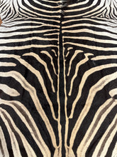 Load image into Gallery viewer, AA Grade Zebra Hide Rug [AA25-10]
