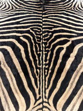 Load image into Gallery viewer, AA Grade Zebra Hide Rug [AA25-3]
