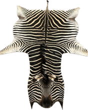 Load image into Gallery viewer, AA Grade Zebra Hide Rug [AA25-152]
