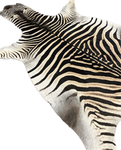 Load image into Gallery viewer, AA Grade Zebra Hide Rug [AA95]
