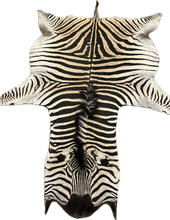 Load image into Gallery viewer, A Grade Zebra Hide Rug [A25-9]
