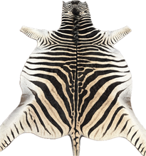 Load image into Gallery viewer, AA Grade Zebra Hide Rug [AA99]
