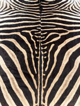 Load image into Gallery viewer, AA Grade Zebra Hide Rug [AA25-1]
