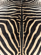 Load image into Gallery viewer, AA Grade Zebra Hide Rug [AA25-152]
