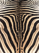 Load image into Gallery viewer, AA Grade Zebra Hide Rug [AA92]
